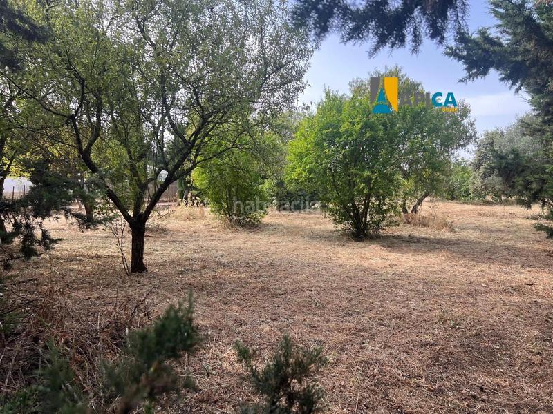 Foto 9918a27a-d7b2-472e-9044-69ade7d5c8ae. Finca rústica a Roche Conil de la Frontera