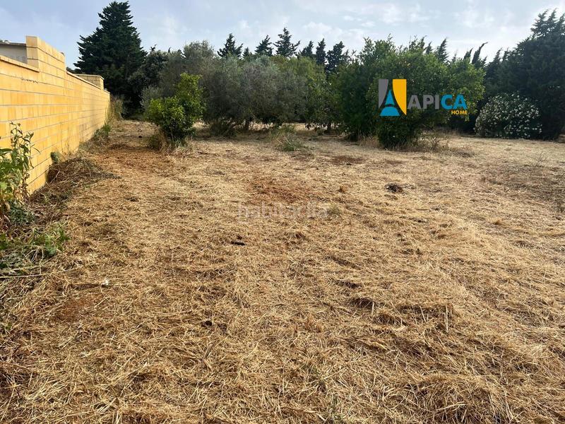 Foto b48ba2e3-9d49-43f6-97f9-377cf3a75c9a. Finca rústica a Roche Conil de la Frontera