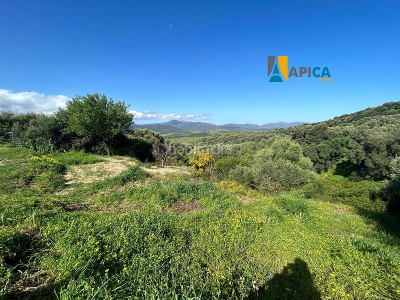 Foto 2e1ad57d-48fa-40f4-8e88-e3bc58240a3e. Finca rústica parcela rúsica en Barrios (Los)