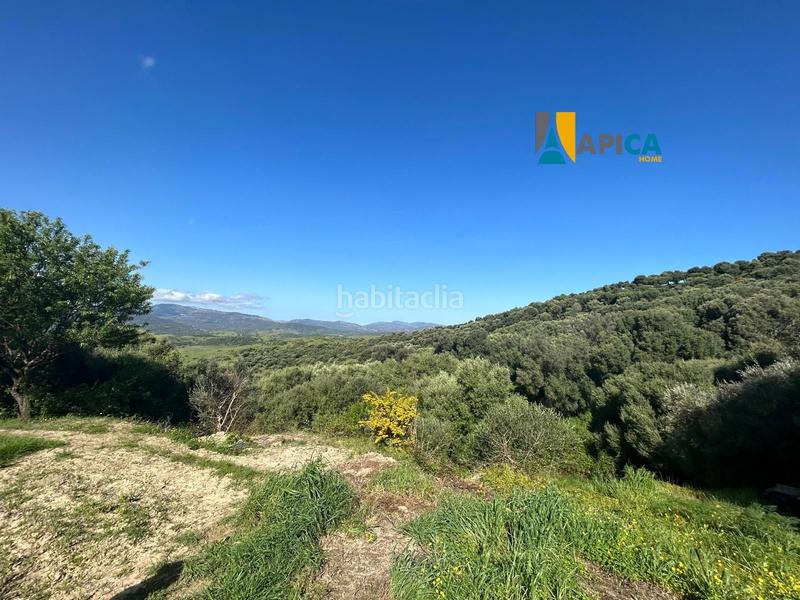 Foto 6d703f3e-7a1e-46d6-a776-eb715c648cf6. Finca rústica parcela rúsica en Barrios (Los)