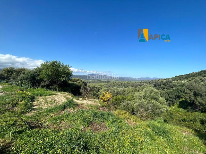 Foto b61e406c-1bb3-4e6f-a189-bbbe81193baa. Finca rústica parcela rúsica en Barrios (Los)