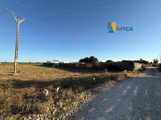 Finca rústica a El Palmar. Parcela rústica segregada cerca de la playa, zona el palmar.