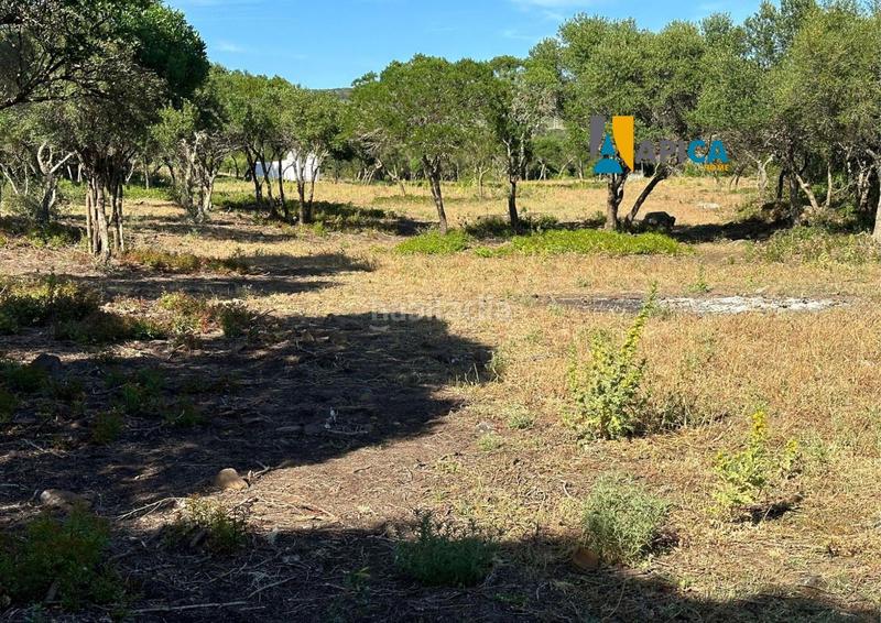 Foto 12d21a88-64ba-4588-b84a-3e0f7ae73ebf. Fondo rustico in Medina Sidonia