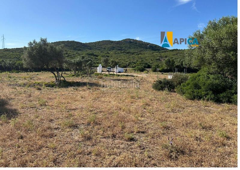 Foto 601db1f8-0999-447b-b4aa-2392958f1e01. Fondo rustico in Medina Sidonia