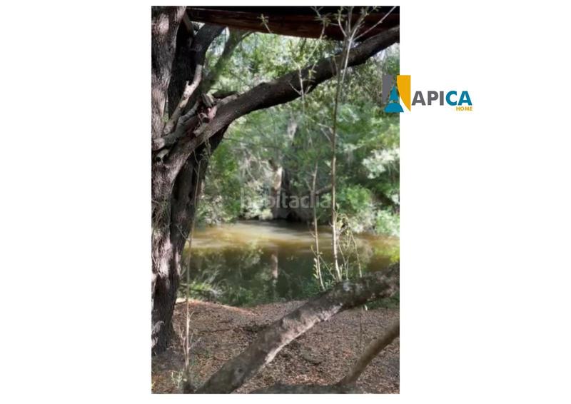 Foto 8756ee2a-cc0b-43b0-a0f3-cf7bca3d88cd. Fondo rustico in Medina Sidonia