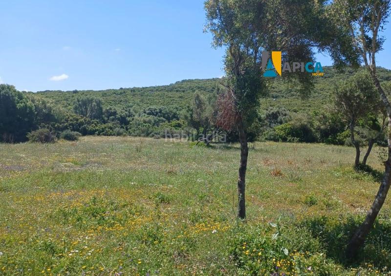 Foto b6ed5467-3974-42a3-a5bc-35ea8bc628d7. Fondo rustico in Medina Sidonia