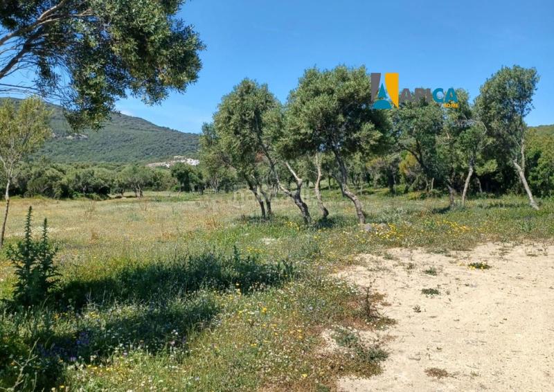 Foto c7f7ec29-8877-43bf-8450-a02a3a342528. Fondo rustico in Medina Sidonia