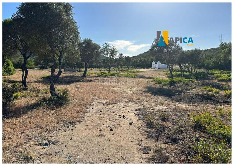 Foto da27d31f-1f5c-4255-9445-31ce64b9cf1b. Fondo rustico in Medina Sidonia