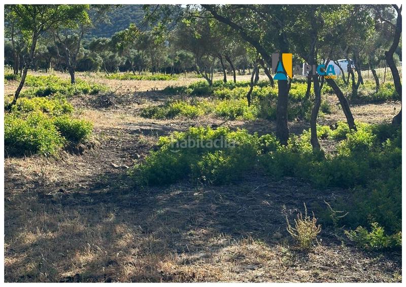 Foto f60721c3-dfce-4a09-8884-39e82d3fb113. Fondo rustico in Medina Sidonia