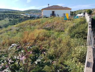 Finca rústica a Centro-San Felipe-Huerta Fava. Se vende solar urbano edificable en la línea de la concepción.