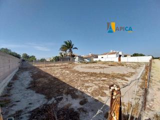 Finca rústica a Conil. Parcela rústica en conil de la frontera, zona barrio nuevo  la f