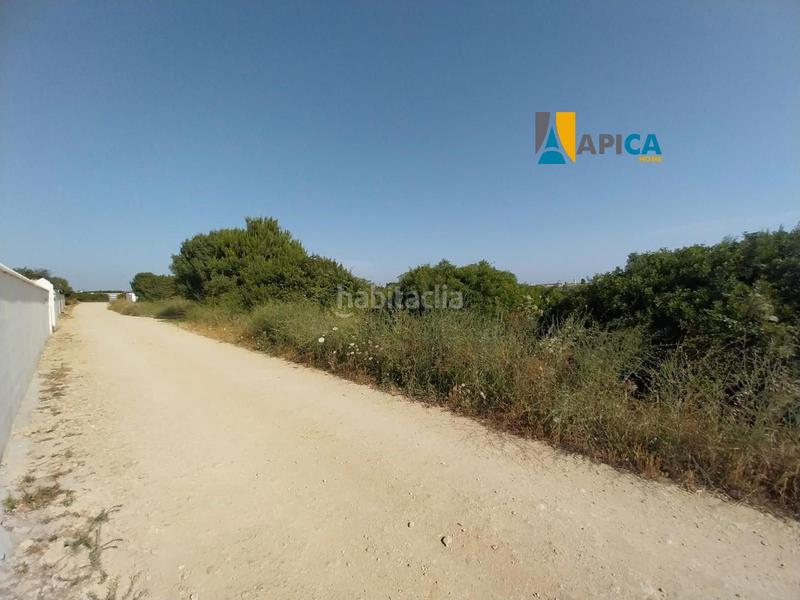 Foto 0f4b65a4-619f-4a19-836f-c6259574c872. Fondo rustico in Conil Conil de la Frontera