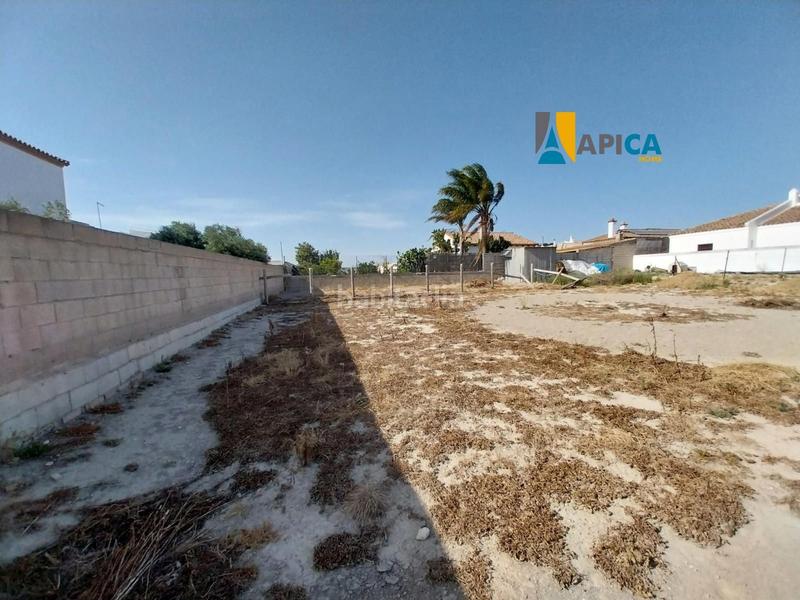 Foto 194c0120-0123-4e74-be5d-e18fae1e004c. Fondo rustico in Conil Conil de la Frontera