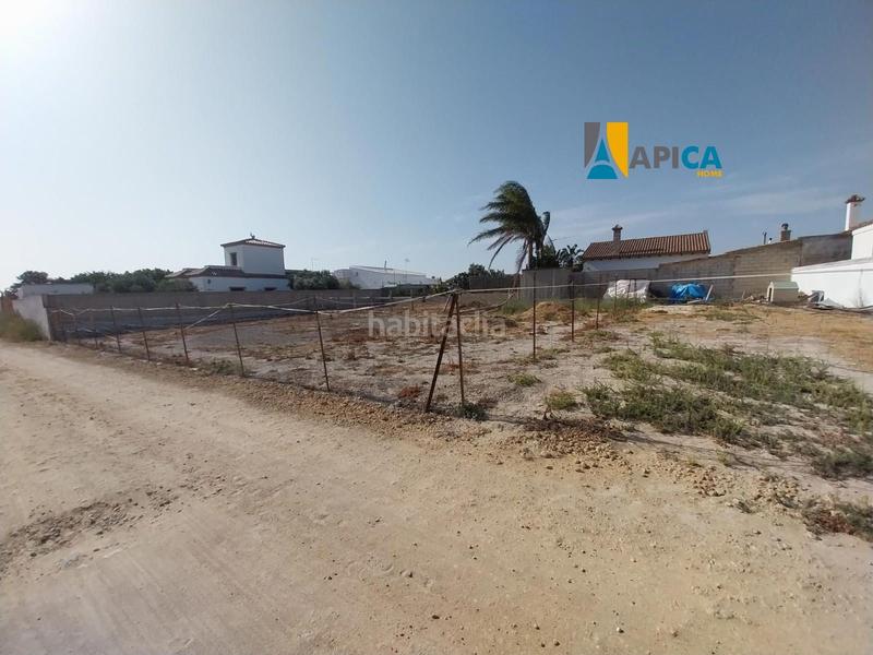 Foto a3c15d20-e488-40ff-8fed-b8992b721f66. Fondo rustico in Conil Conil de la Frontera