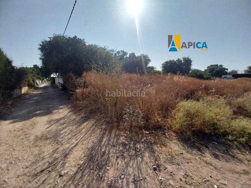 Foto 1f560538-7fa8-4809-a962-f65f941e8055. Propriété dans El Palmar Vejer de la Frontera