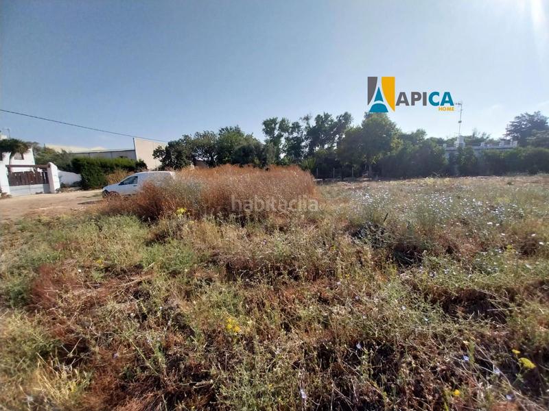 Foto 35e1ac07-93fe-496d-a9b8-26fff6ac8899. Propriété dans El Palmar Vejer de la Frontera