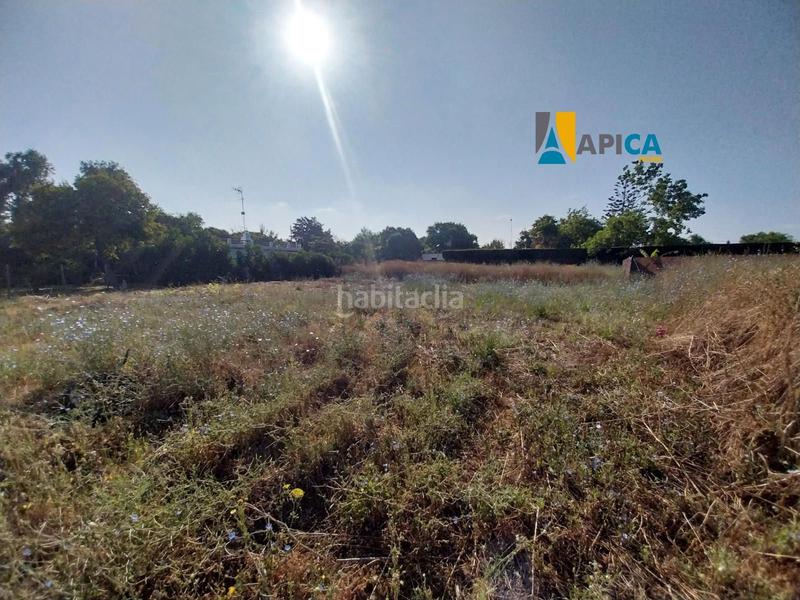 Foto 4841d82b-8921-4458-9fd4-93dc27b44e2b. Propriété dans El Palmar Vejer de la Frontera