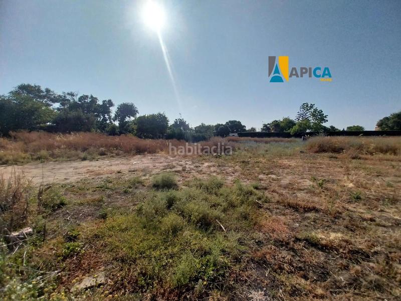 Foto 6787423f-d488-4690-a8f9-4732f023b3f0. Propriété dans El Palmar Vejer de la Frontera