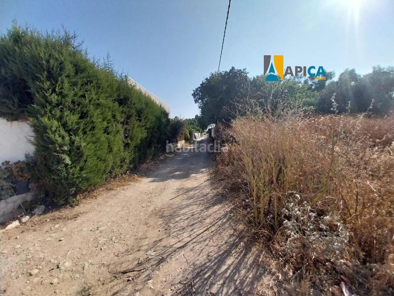 Foto 7b311b3b-3b37-45f3-98a6-f5cf4bf3fa9a. Propriété dans El Palmar Vejer de la Frontera