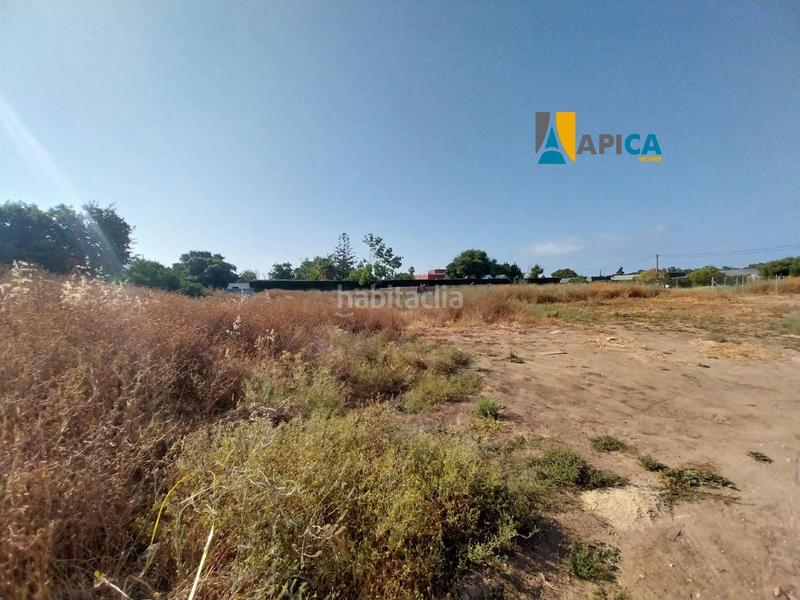 Foto 993fe203-53e4-4504-9b65-32e85b6fa0db. Propriété dans El Palmar Vejer de la Frontera