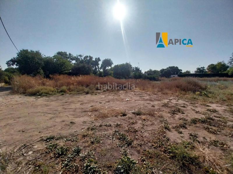 Foto 996af40b-e11f-464d-bce4-e8ef940e1f8a. Propriété dans El Palmar Vejer de la Frontera