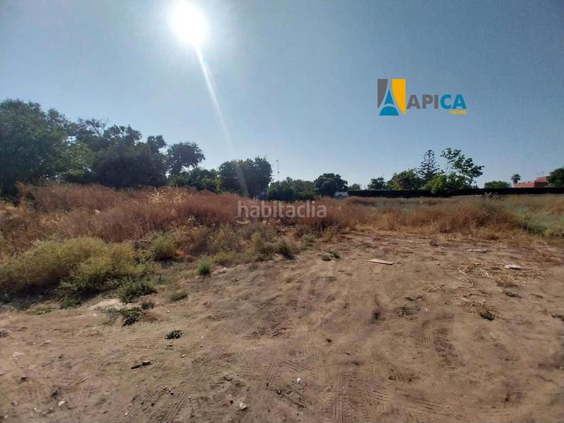 Foto a2de7053-84ae-45cc-b0cf-7ae298e926ab. Propriété dans El Palmar Vejer de la Frontera