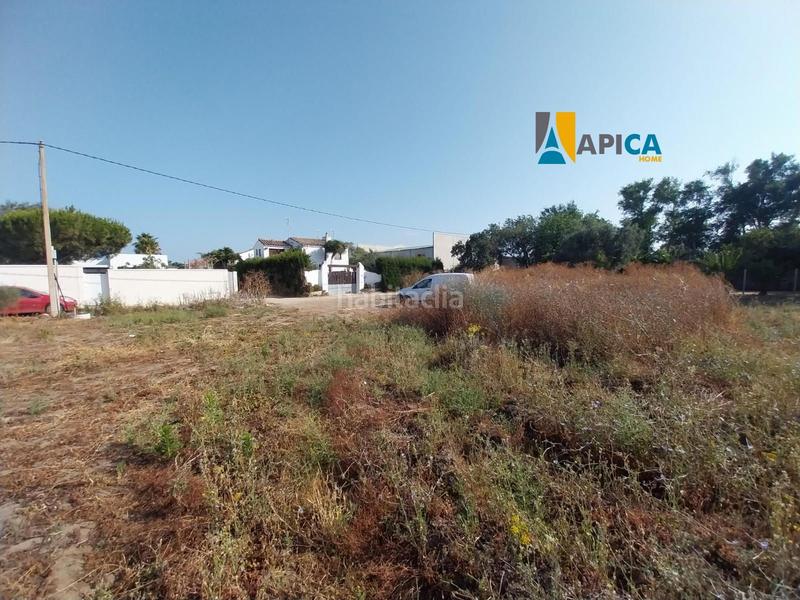 Foto c44a5887-a487-4c45-8fb2-9dab0f3201ed. Propriété dans El Palmar Vejer de la Frontera