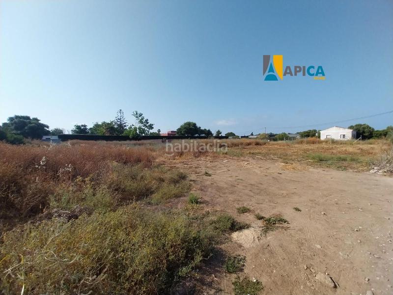 Foto cfa38a8a-58c1-4619-8d21-93b6e0b3d08c. Propriété dans El Palmar Vejer de la Frontera