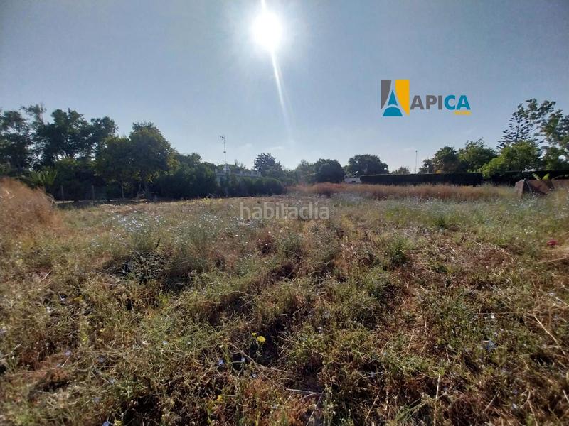 Foto d986301a-93f6-4acd-8f34-c6a883b8387f. Propriété dans El Palmar Vejer de la Frontera