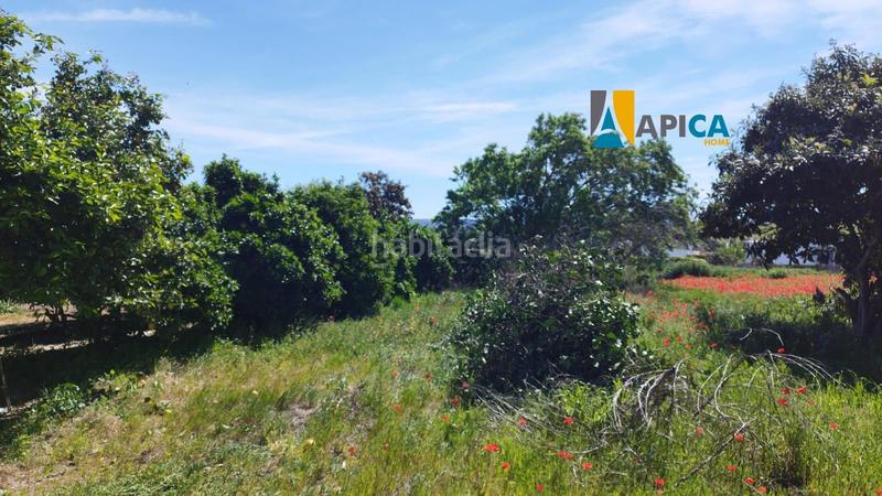 Foto 15b37a89-bb6d-4ea0-aedf-266ad60d4b30. Chalet dans Barbate Barbate