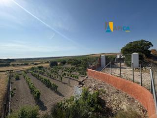 Finca rústica a Los Franceses - La Vega. Parcela rústica, marquesado. chiclana de la frontera.