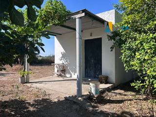 Finca rústica a Barbate. Parcela en venta en la ribera de la oliva, barbate.
