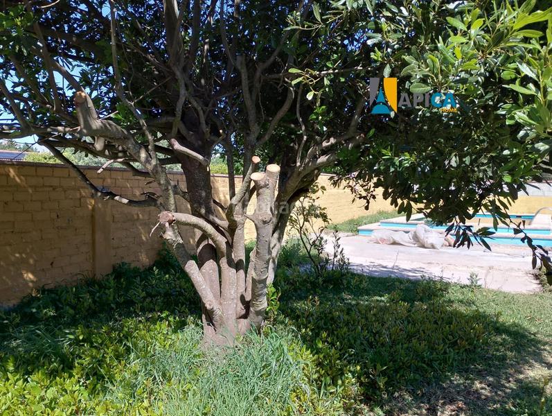 Foto 9c6d5e1a-b1df-4ab4-a138-610aeb097371. Chalet mit heizung parking pool in Barrio Nuevo Conil de la Frontera