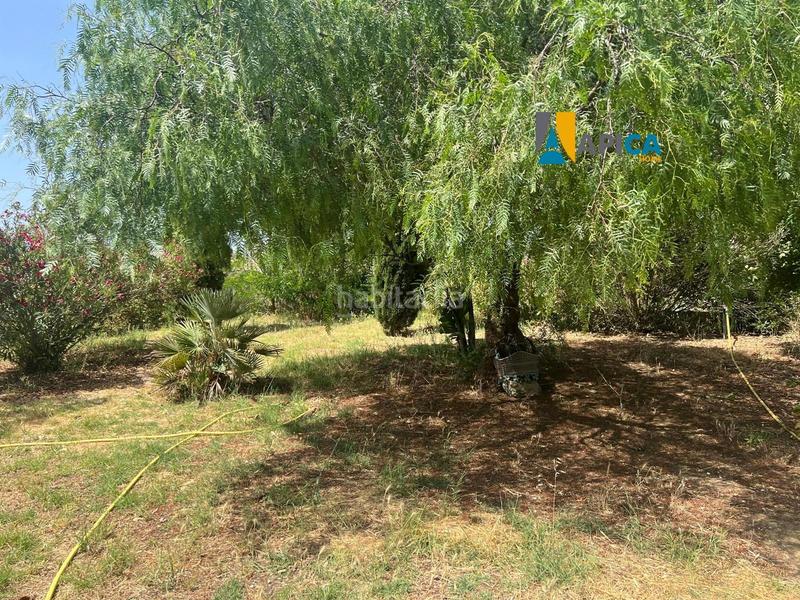 Foto cd96e71a-05a3-42d0-bfd6-578cc721e5fd. Fondo rustico in Barrio Nuevo Conil de la Frontera