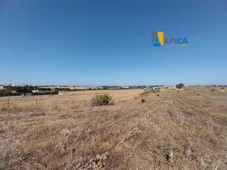 Finca rústica a Conil. Parcela segregada en la zona del pradillo, a 15km de conil centr