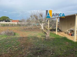 Finca rústica a Los Franceses - La Vega. Parcela en venta en chiclana de la frontera, zona pinar de maría