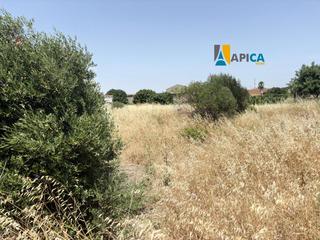 Finca rústica a Núcleo urbano. Parcela rústica y segregada zona borreguitos. chiclana de la fro