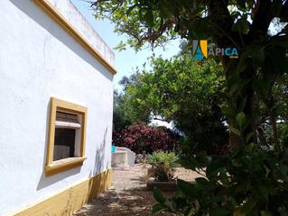 Chalet en Vejer. Casa independiente, zona el poblado de vrelo, vejer de la front