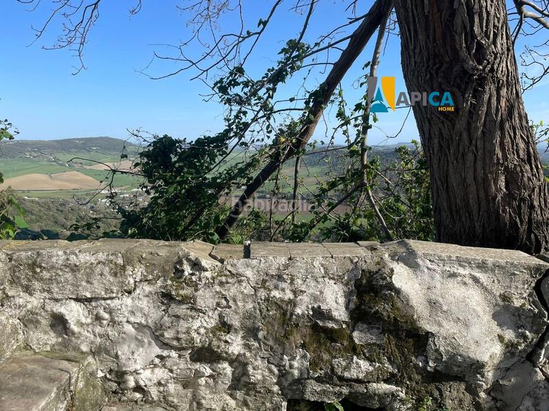 Foto f7bbd568-6825-481f-9184-48fd7cb964c2. Fondo rustico in Vejer Vejer de la Frontera
