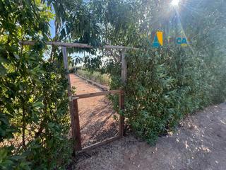 Finca rústica a Barrio Nuevo. Parcela en venta en conil, zona la florida