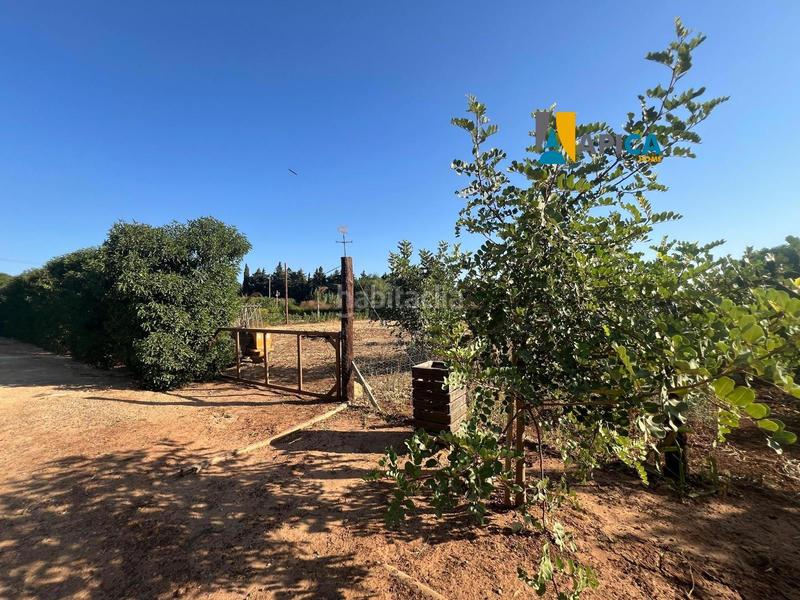 Foto 47c79cce-49e5-4e1c-8faf-e1598deb72e9. Finca rústica a Barrio Nuevo Conil de la Frontera