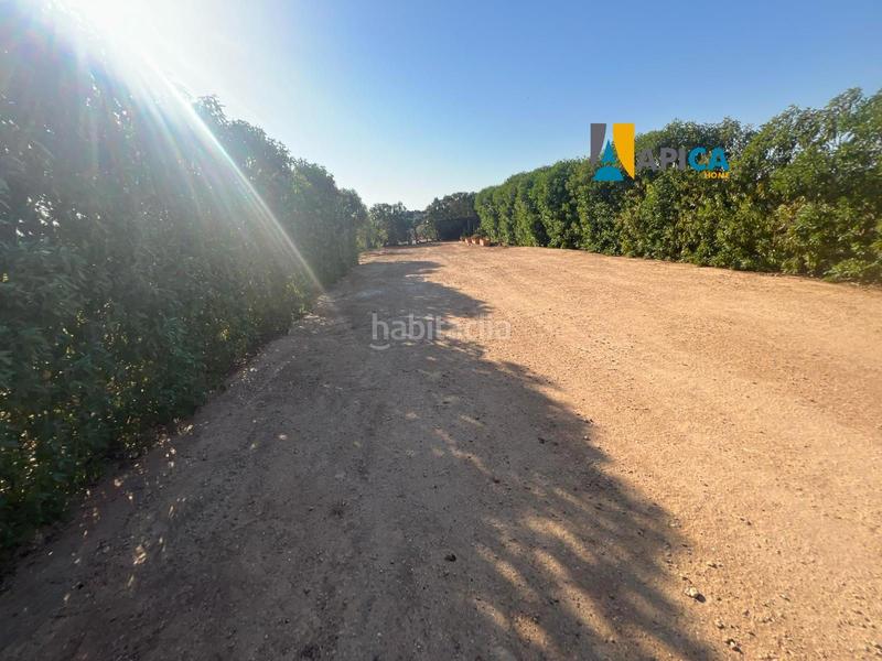 Foto 4b427636-f830-401b-9470-11bd83bb7549. Finca rústica a Barrio Nuevo Conil de la Frontera