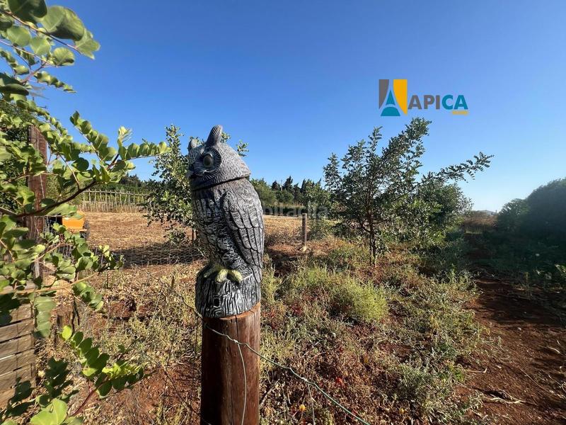 Foto 4f9c9580-c1f5-4fc4-a01a-2c4269198617. Finca rústica a Barrio Nuevo Conil de la Frontera