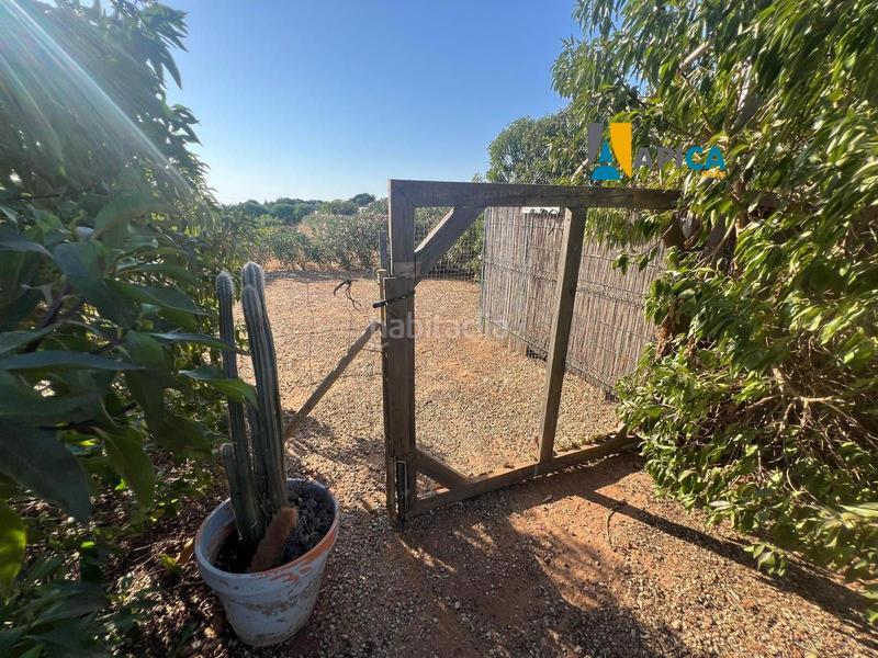 Foto 7f4e48a8-eb1e-4540-8ec2-f2344807e43e. Finca rústica a Barrio Nuevo Conil de la Frontera