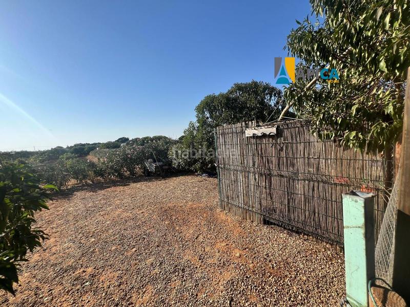 Foto 94489422-d406-4fcd-9460-235158886fe5. Finca rústica a Barrio Nuevo Conil de la Frontera