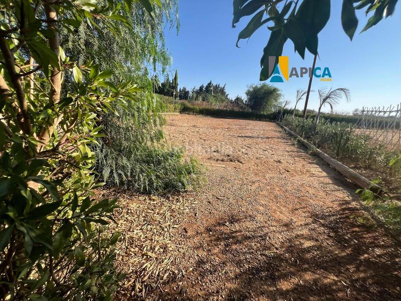 Foto ab5a542f-bbf7-4f71-a4c6-431a8dda0da4. Finca rústica a Barrio Nuevo Conil de la Frontera