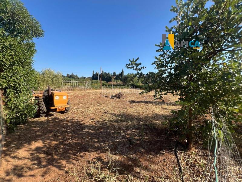 Foto b3671204-6c85-4c92-81f7-a5f33cbf3bd6. Finca rústica a Barrio Nuevo Conil de la Frontera