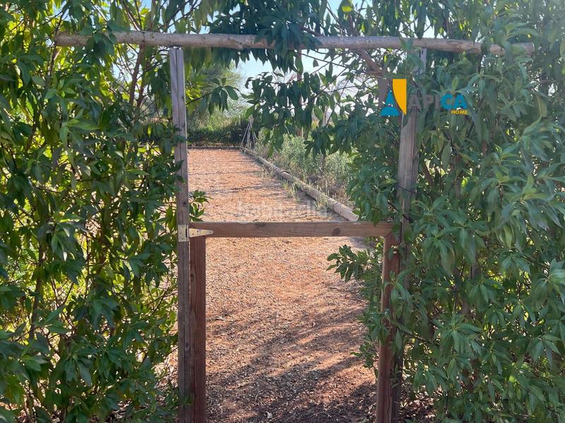 Foto ce83a71a-41ed-47a3-b807-ae2ff3b3cd5e. Finca rústica a Barrio Nuevo Conil de la Frontera