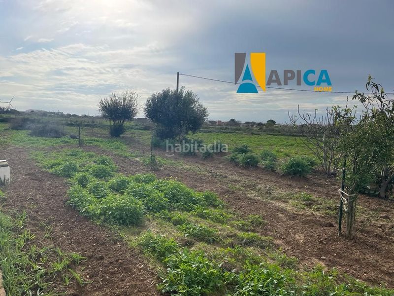 Foto 1a21b0b8-8789-4244-9e67-47ee2c2ffb42. Xalet a Los Franceses - La Vega Chiclana de la Frontera