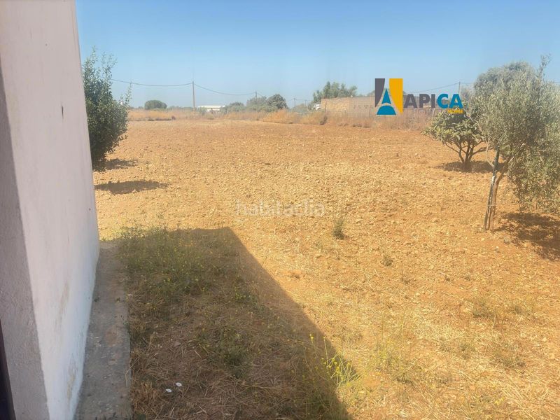 Foto 2158682a-8172-42d9-a2d1-c82f35fe15b1. Xalet a Los Franceses - La Vega Chiclana de la Frontera